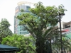 arnoma-hotel-bangkok-030