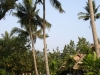 koh-chang-paradise-resortt57